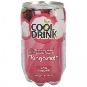 COOL DRINK MANGOSTINO 340ml